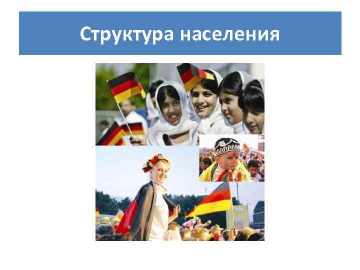 Структура населения 
