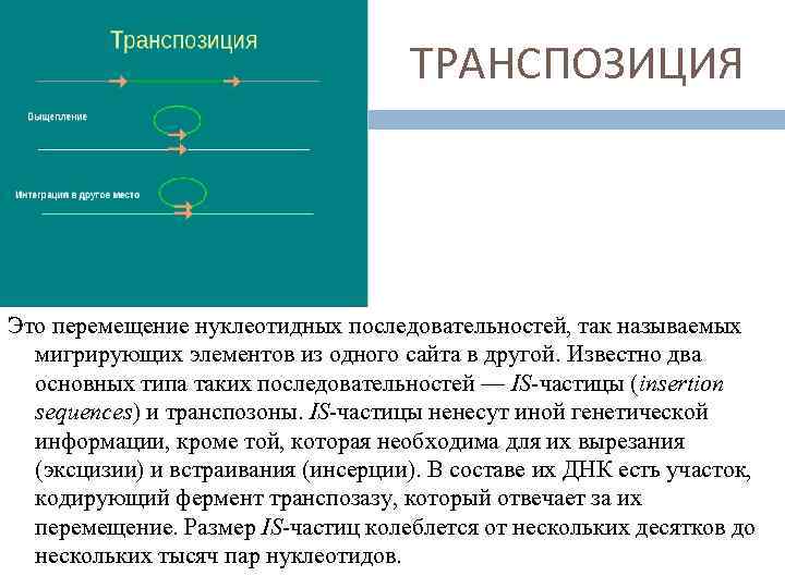 Мигрирующий геном что это такое проект по биологии