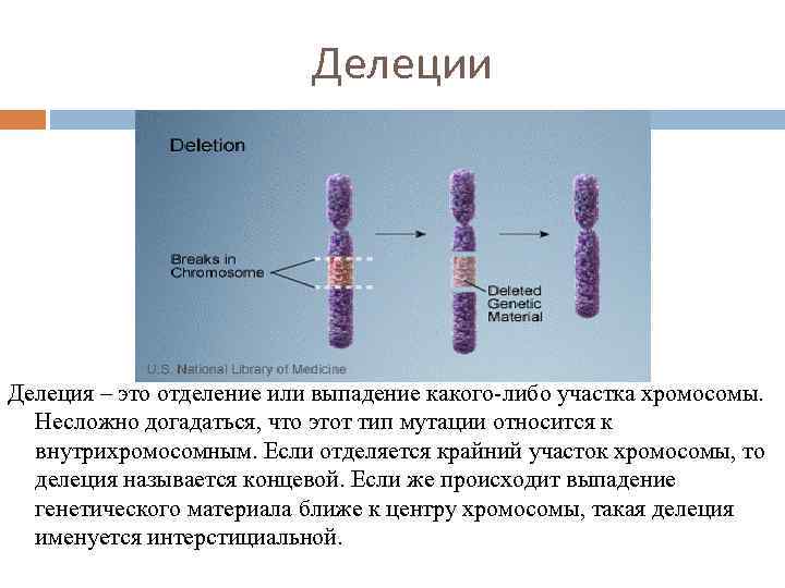 Делеция это