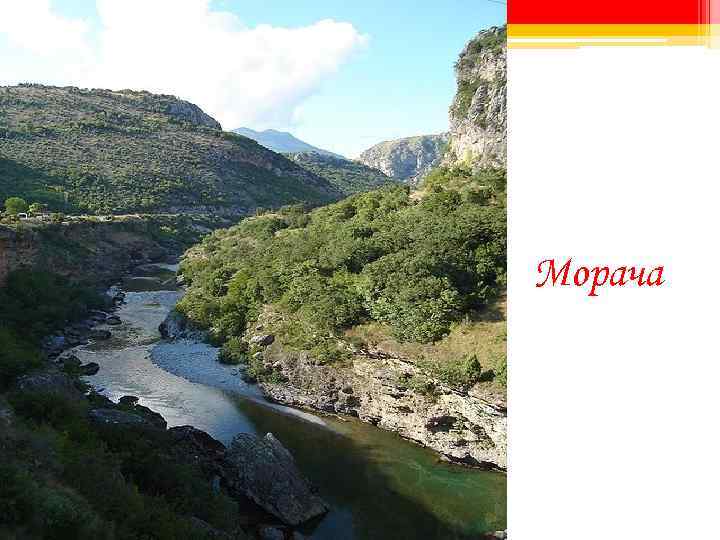 Морача 