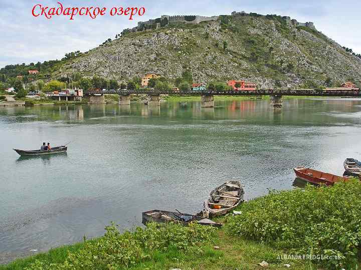 Скадарское озеро 