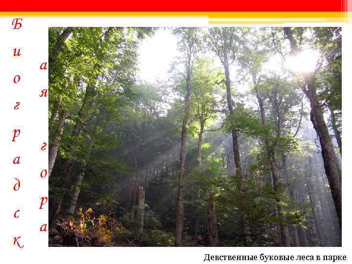 Б и о г р а д с к а я г о р