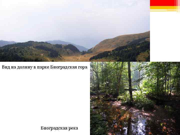 Вид на долину в парке Биоградская гора Биоградская река 