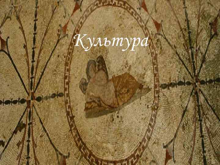 Культура 