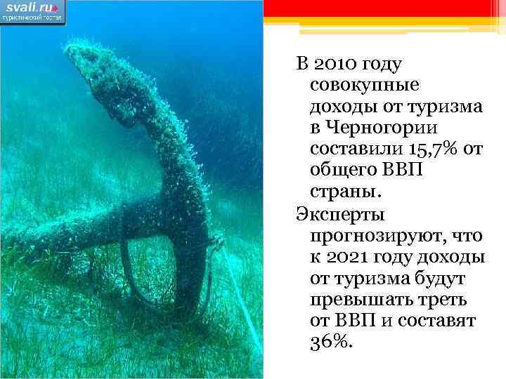В 2010 году совокупные доходы от туризма в Черногории составили 15, 7% от общего