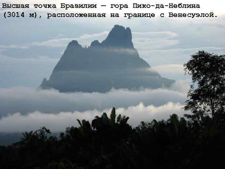 Высшая точка Бразилии — гора Пико-да-Неблина (3014 м), расположенная на границе с Венесуэлой. 