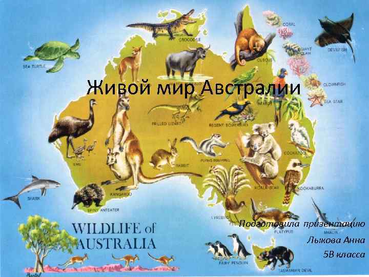 Живой мир Австралии Подготовила призентацию Лыкова Анна 5 В класса 