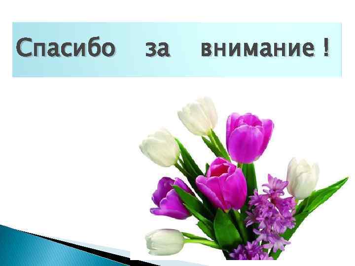 Спасибо за внимание ! 