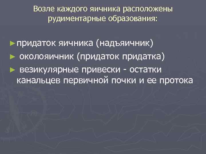 Возле каждого яичника расположены рудиментарные образования: ► придаток яичника (надъяичник) ► околояичник (придаток придатка)