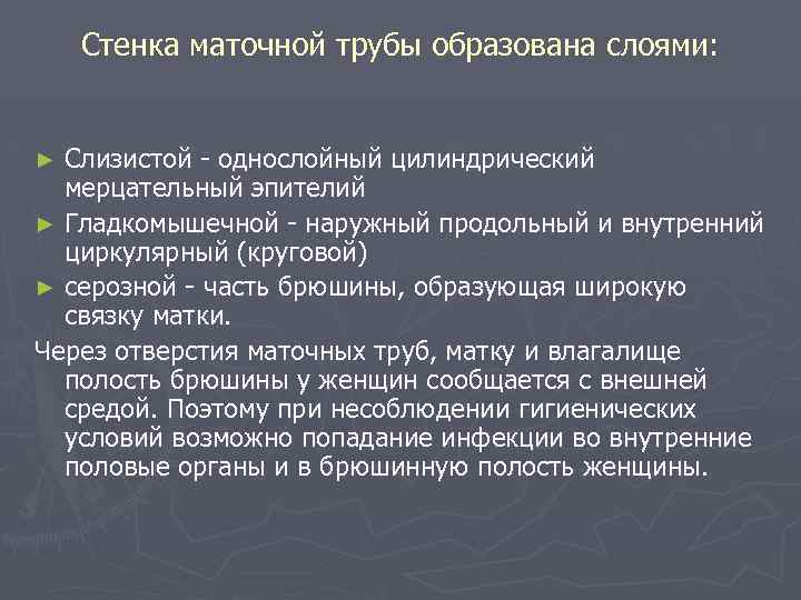 Стенка маточной трубы образована слоями: Слизистой - однослойный цилиндрический мерцательный эпителий ► Гладкомышечной -