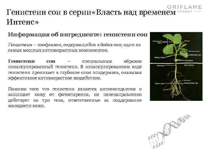Генистеин сои в серии «Власть над временем Интенс» Информация об ингредиенте: генистеин сои Генистеин