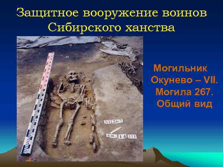 Защитное вооружение воинов Сибирского ханства Могильник Окунево – VII. Могила 267. Общий вид 