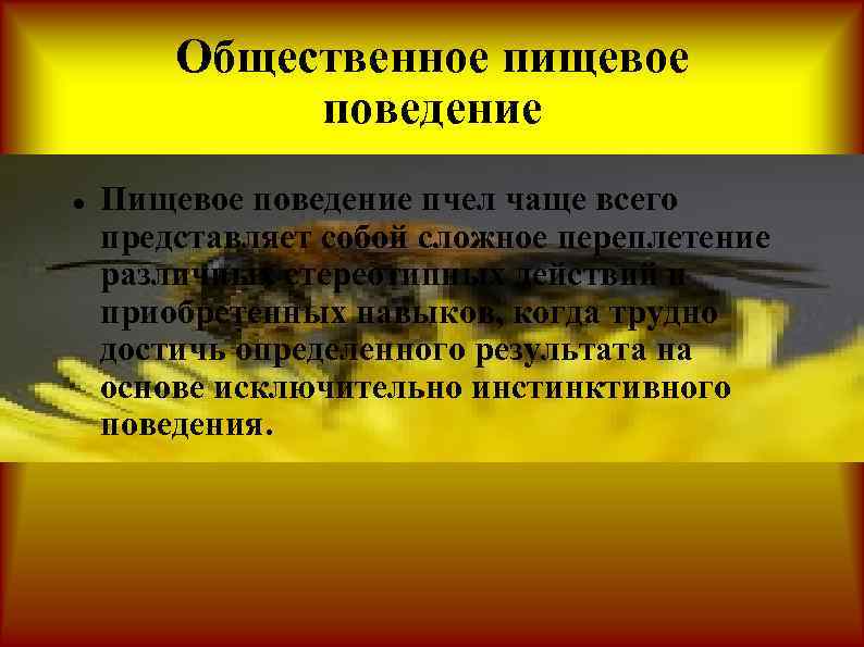 Общественное пищевое поведение Пищевое поведение пчел чаще всего представляет собой сложное переплетение различных стереотипных