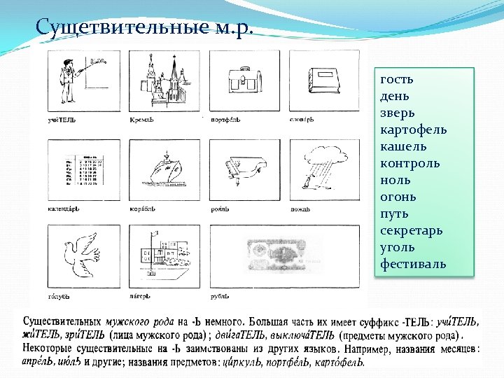 Сущетвительные м. р. гость день зверь картофель кашель контроль ноль огонь путь секретарь уголь