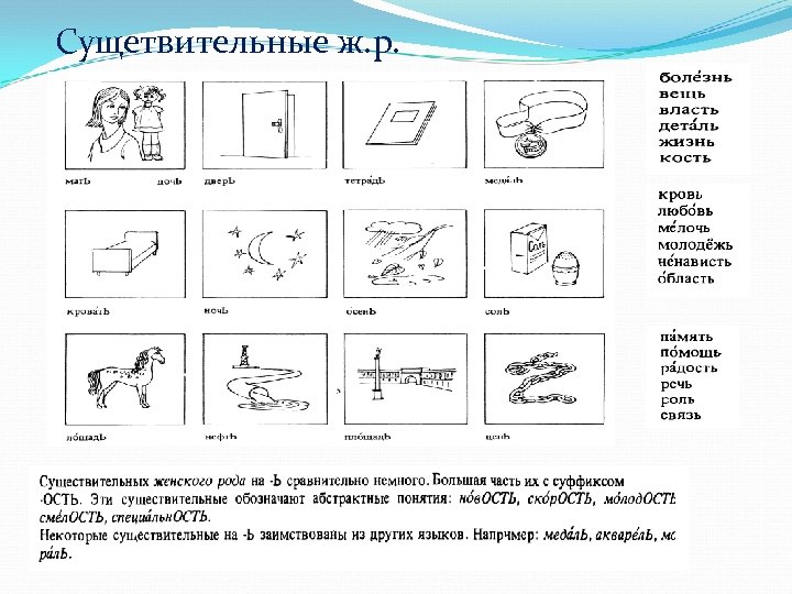Сущетвительные ж. р. 