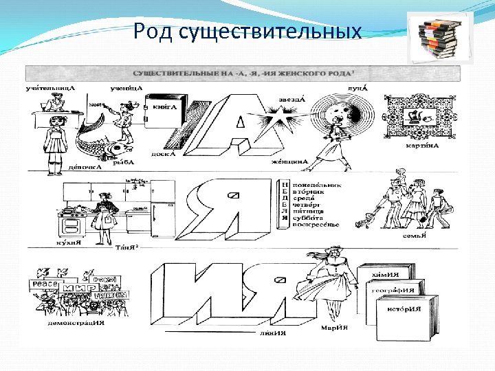 Род существительных 