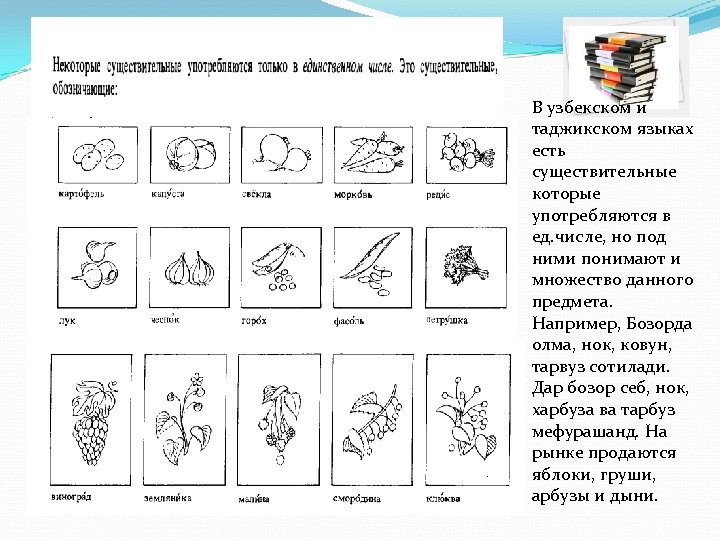 В узбекском и таджикском языках есть существительные которые употребляются в ед. числе, но под