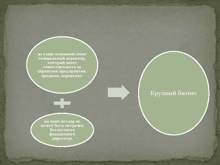 во главе компании стоит генеральный директор, который несет ответственность за стратегию предприятия, продажи, маркетинг.