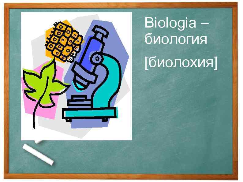 Biologia – биология [биолохия] 