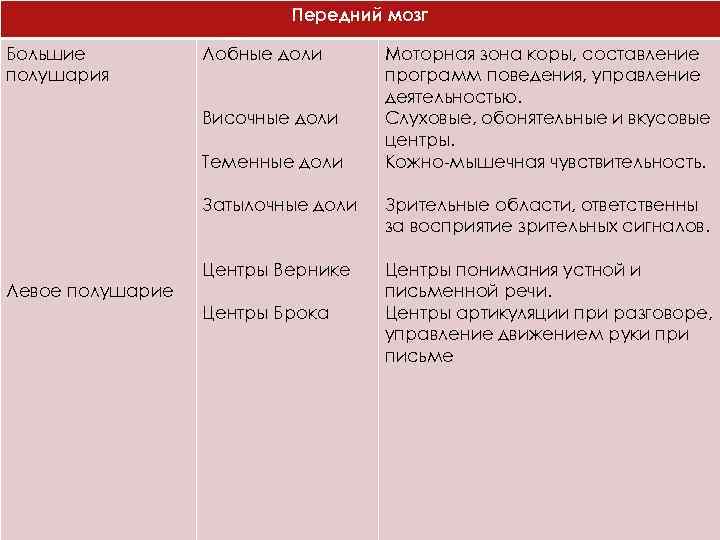 Передний мозг Большие полушария Лобные доли Височные доли Теменные доли Моторная зона коры, составление