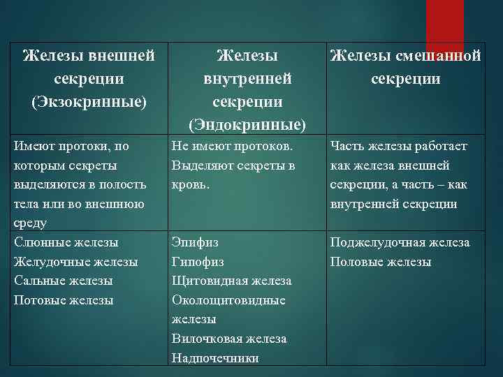 Железы внешней секреции (Экзокринные) Имеют протоки, по которым секреты выделяются в полость тела или