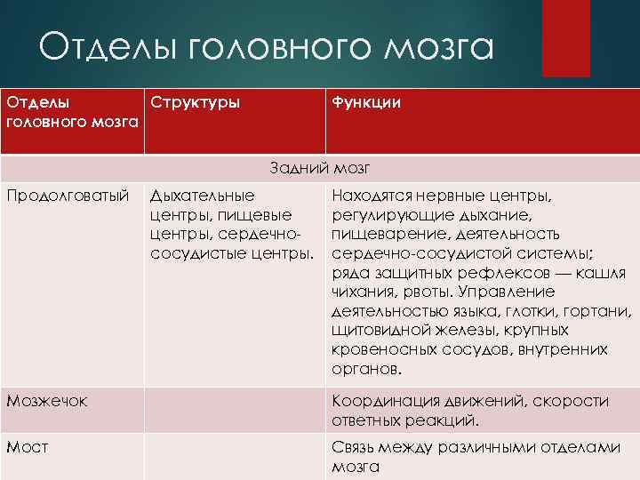 Отделы головного мозга Отделы Структуры головного мозга Функции Задний мозг Продолговатый Дыхательные центры, пищевые