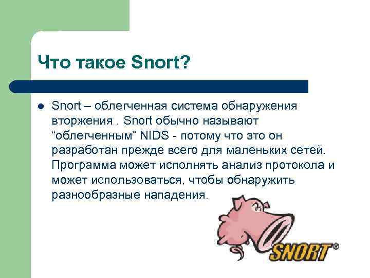 Что такое Snort? l Snort – облегченная система обнаружения вторжения. Snort обычно называют “облегченным”