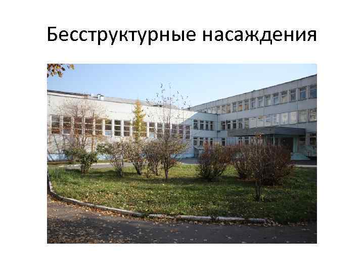 Бесструктурные насаждения 