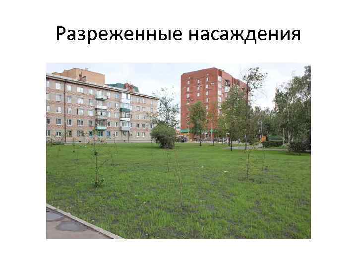 Разреженные насаждения 