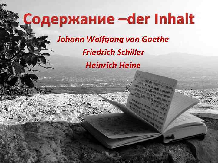 Содержание –der Inhalt Johann Wolfgang von Goethe Friedrich Schiller Heinrich Heine 