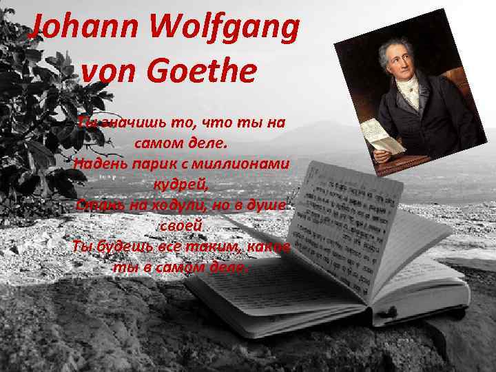 Johann Wolfgang von Goethe Ты значишь то, что ты на самом деле. Надень парик