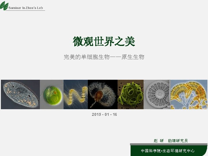 Seminar In Zhan’s Lab 微观世界之美 完美的单细胞生物——原生生物 2015 - 01 - 16 赵 研 助理研究员