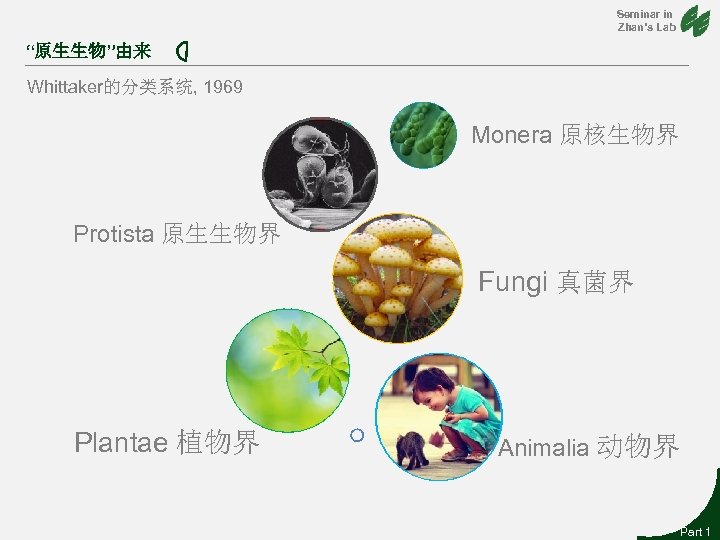 Seminar in Zhan’s Lab “原生生物”由来 Whittaker的分类系统, 1969 Monera 原核生物界 Protista 原生生物界 Fungi 真菌界 Plantae
