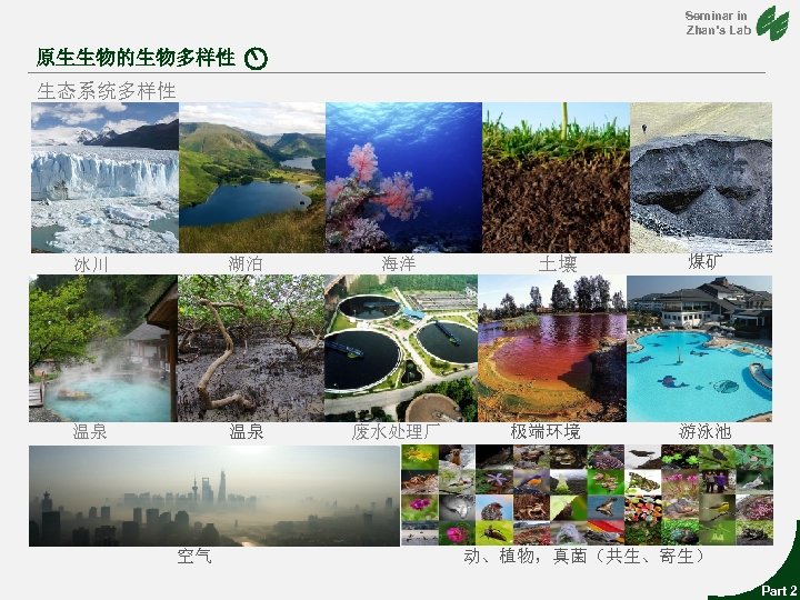Seminar in Zhan’s Lab 原生生物的生物多样性 生态系统多样性 冰川 湖泊 海洋 温泉 温泉 废水处理厂 空气 土壤