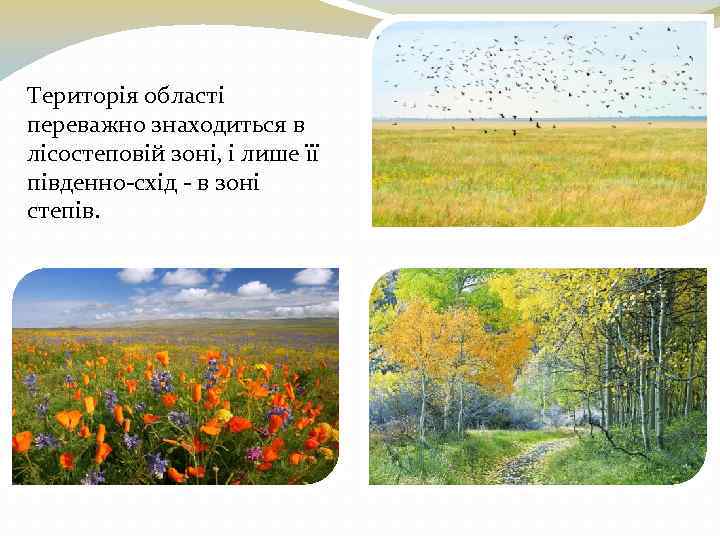 Територія області переважно знаходиться в лісостеповій зоні, і лише її південно-схід - в зоні