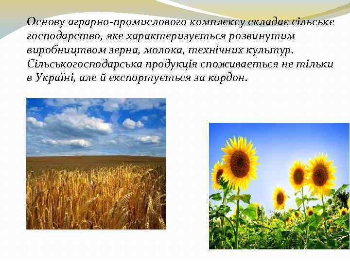 Основу аграрно-промислового комплексу складає сільське господарство, яке характеризується розвинутим виробництвом зерна, молока, технічних культур.