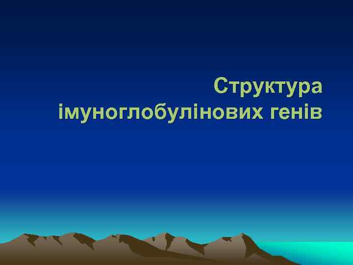 Структура імуноглобулінових генів 