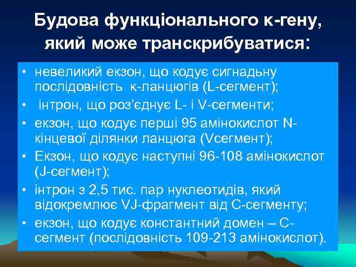 Будова функціонального κ-гену, який може транскрибуватися: • невеликий екзон, що кодує сигнадьну послідовність κ-ланцюгів