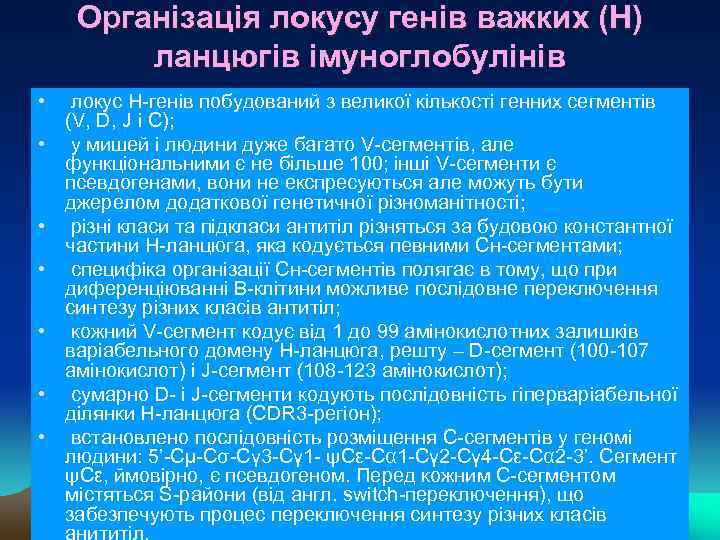 Організація локусу генів важких (Н) ланцюгів імуноглобулінів • • локус Н-генів побудований з великої