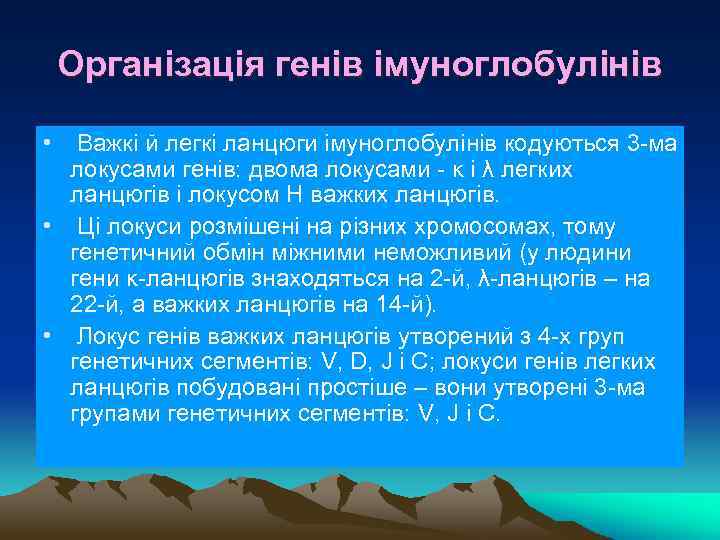Організація генів імуноглобулінів • Важкі й легкі ланцюги імуноглобулінів кодуються 3 -ма локусами генів: