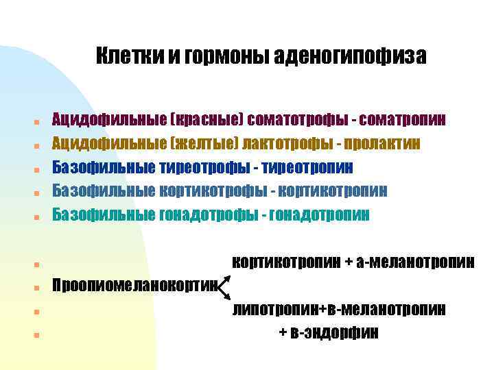 Клетки и гормоны аденогипофиза n n n Ацидофильные (красные) соматотрофы - соматропин Ацидофильные (желтые)