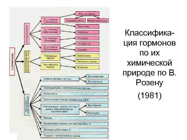 Классификация гормонов по их химической природе по В. Розену (1981) 