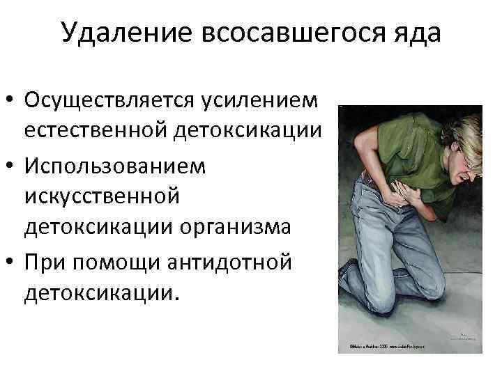 Удаление всосавшегося яда • Осуществляется усилением естественной детоксикации • Использованием искусственной детоксикации организма •