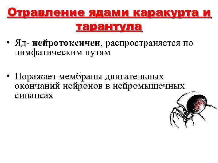 Отравление ядами каракурта и тарантула • Яд- нейротоксичен, распространяется по лимфатическим путям • Поражает