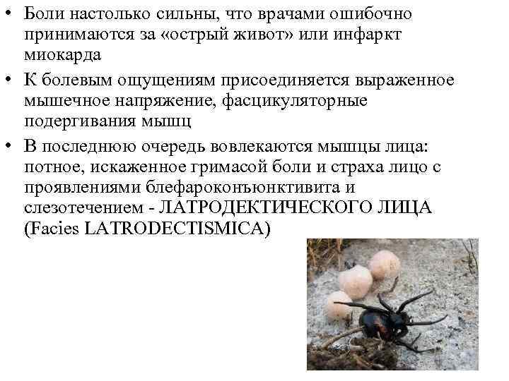  • Боли настолько сильны, что врачами ошибочно принимаются за «острый живот» или инфаркт