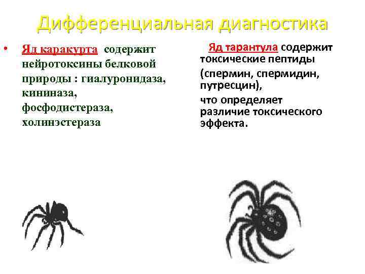 Дифференциальная диагностика • Яд каракурта содержит нейротоксины белковой природы : гиалуронидаза, кининаза, фосфодистераза, холинэстераза