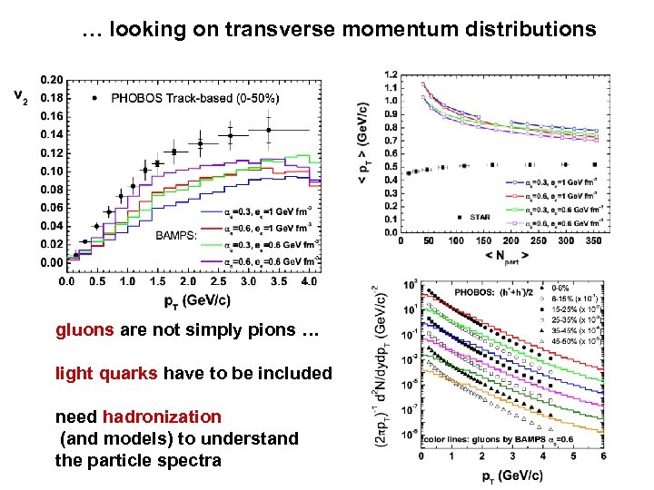 … looking on transverse momentum distributions gluons are not simply pions … light quarks