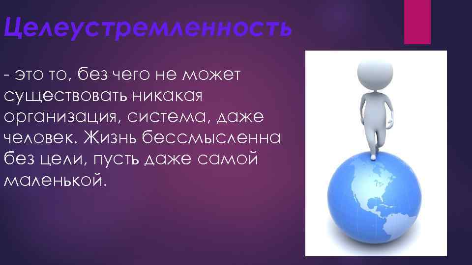 Целеустремленность - это то, без чего не может существовать никакая организация, система, даже человек.