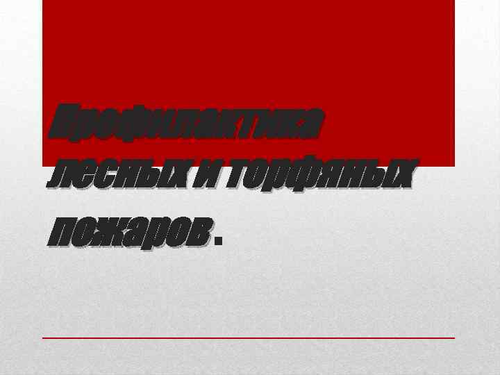 Профилактика лесных и торфяных пожаров. 