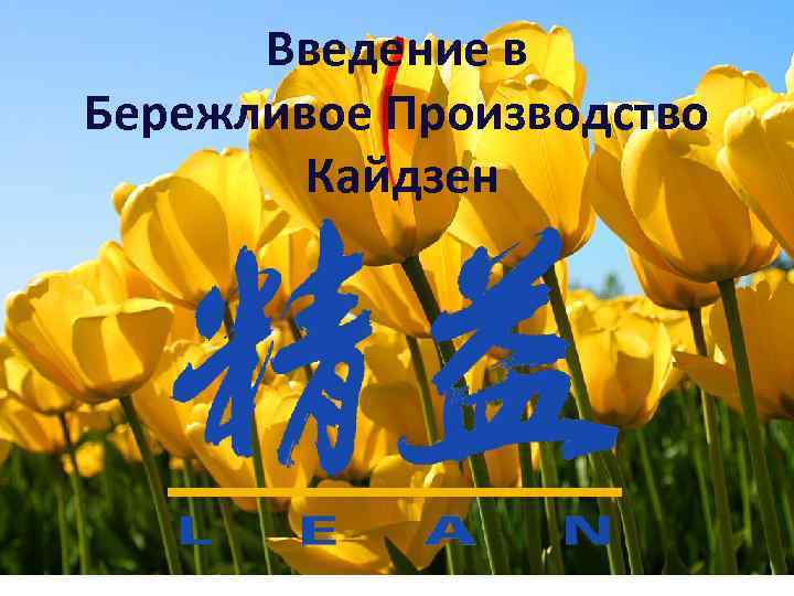 Введение в Бережливое Производство Кайдзен 